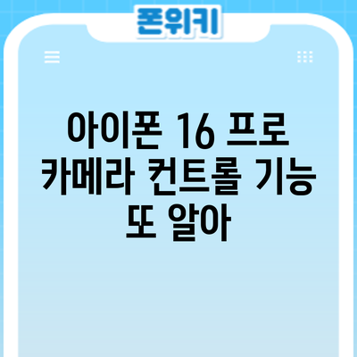 아이폰 16 프로 카메라 컨트롤 기능 또 알아?