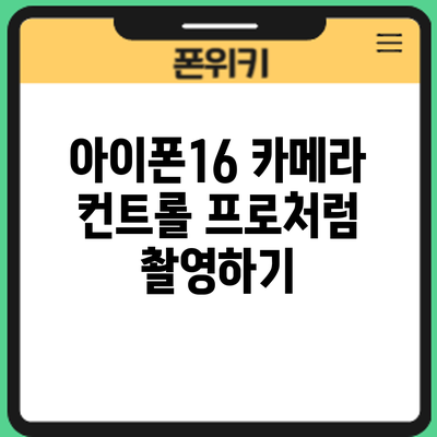 아이폰16 카메라 컨트롤: 프로처럼 촬영하기