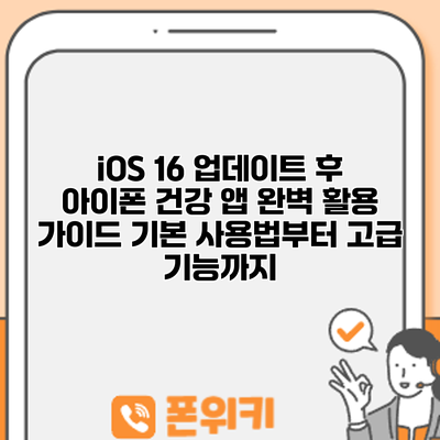 iOS 16 업데이트 후 아이폰 건강 앱 완벽 활용 가이드: 기본 사용법부터 고급 기능까지