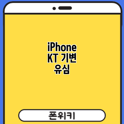 iPhone KT 기변: 유심