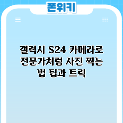 갤럭시 S24 카메라로 전문가처럼 사진 찍는 법: 팁과 트릭